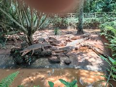 -海南热带野生动植物园