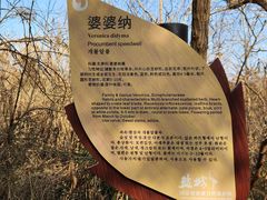 -盐城丹顶鹤湿地生态旅游区