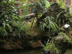 -大妙火锅·非物质文化遗产(东湖公园店)