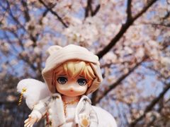 -高东镇樱花园