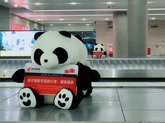 -温州龙湾国际机场