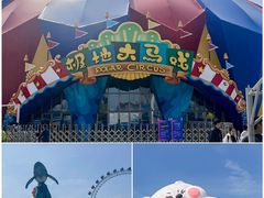-海合安武汉极地海洋公园