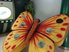 -上海昆虫博物馆