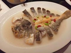米汤浸东海大黄鱼-炳胜品味(海印总店)