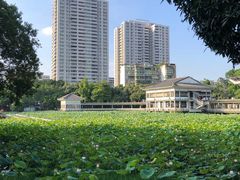 -荔湾湖公园