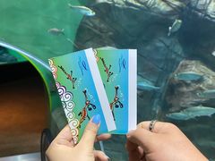 -上海海洋水族馆