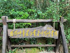 -西双版纳基诺山寨