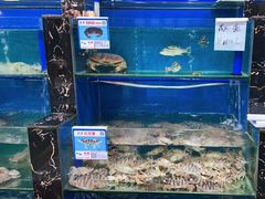 水产区-君港海鲜(三亚湾店)