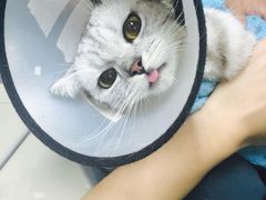 北京康乐宝动物医院-康乐宝动物医院