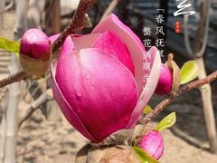 -颐和园
