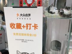 -COLOR PETS 撸猫馆·购猫·猫咖(长风大悦城店)