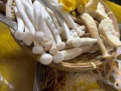 -菌极鲜野生菌火锅店(阳明祠店)