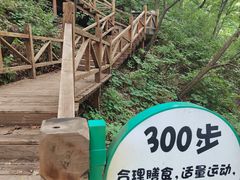 -大岭沟猕猴桃谷风景区