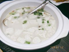 浓汤白水洋豆腐-梧桐花园餐厅(新城店)