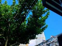 -美豪怡致酒店(上海长寿路店)