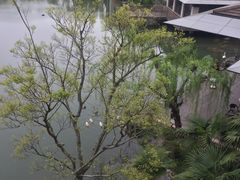 -上海怡沁园度假酒店