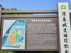 -洛阳市隋唐城遗址植物园