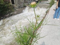 -西岭雪山大飞水景区