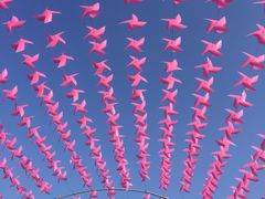 -军山湖云水间生态农业旅游景区