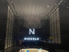 -长沙尼依格罗酒店