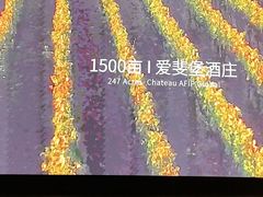 -北京张裕爱斐堡酒庄