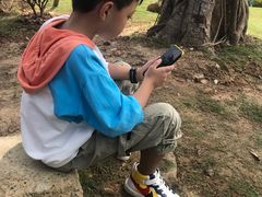 -铁山坪森林公园