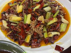 -天一沾水肥肠(科园一街店)