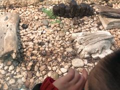 -上海昆虫博物馆