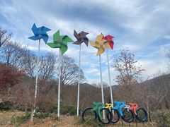 -老山国家森林公园