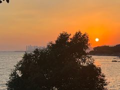 -深圳湾公园(南山区)