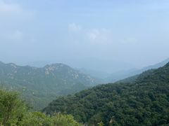 -大岭沟猕猴桃谷风景区