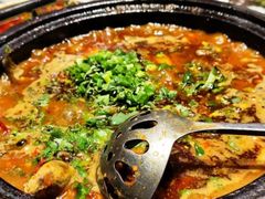 青葱三角蜂-听香·678茶铺(猛追湾店)