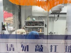 -芭比堂动物医院·心脏科·老年急重症·夜诊·吉雅分院