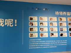-上海K11购物艺术中心