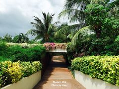 -椰树岛海滩度假村