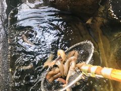 -蓝湾碧波·老字号·疍家非遗海上餐厅