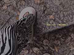 -牛岗山公园