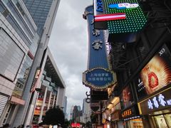 -沈大成(南京东路店)