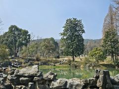 -杭州植物园