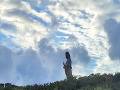 -紫竹林