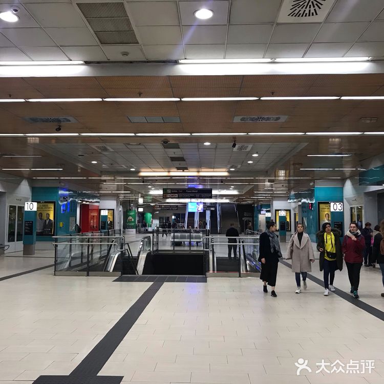 西班牙马德里阿托查火车站乌龟植物乐园