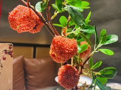-长安大牌档之龙头酒肆(荣民龙首广场店)