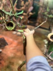 -Zoolung Zoolung动物主题公园(海信广场店)