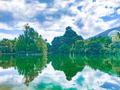 -蝴蝶泉公园