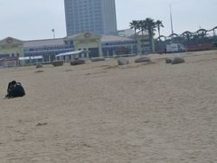 -碧海金沙