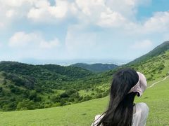-大姆山草场