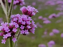 -杭州城北体育公园