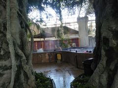 -北京瑞麟湾温泉度假酒店