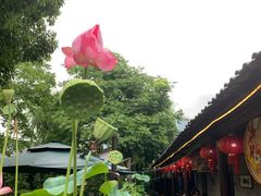 -临江宴餐厅·桐庐菜(富春江店)
