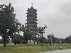 -葛仙湖公园